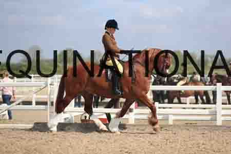 LOT-1525