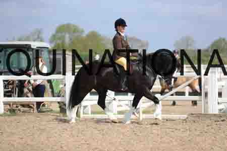 LOT-1528