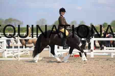 LOT-1529
