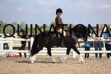 LOT-1530