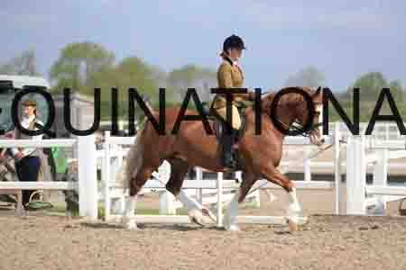 LOT-1531