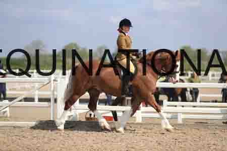 LOT-1532