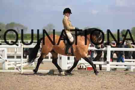 LOT-1533