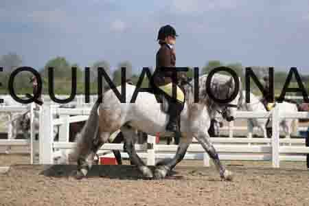 LOT-1536