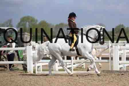 LOT-1537