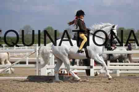 LOT-1538