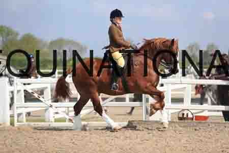LOT-1541