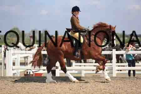 LOT-1542