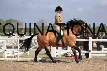 LOT-1543