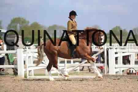 LOT-1544
