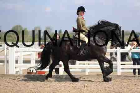 LOT-1548