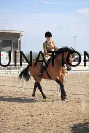 LOT-1551