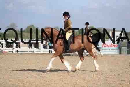 LOT-1560