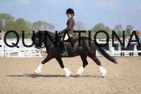 LOT-1564