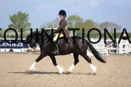 LOT-1565