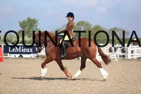 LOT-1567