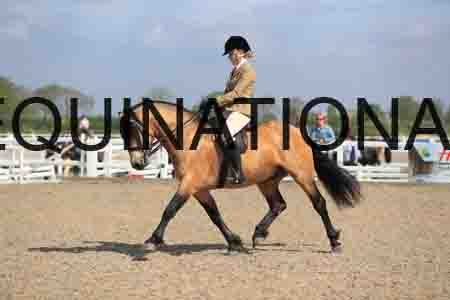 LOT-1568