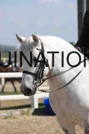LOT-1576
