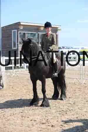 LOT-1577