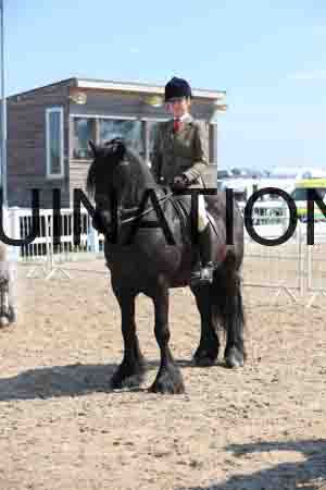 LOT-1578