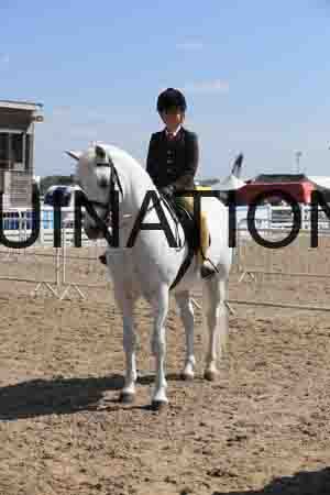 LOT-1584