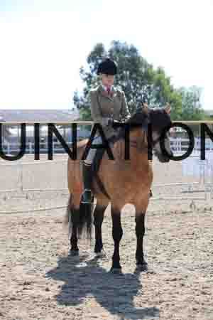 LOT-1589