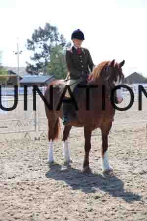 LOT-1595