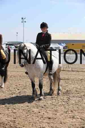 LOT-1606