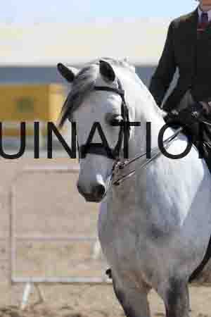 LOT-1624