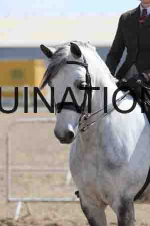 LOT-1625
