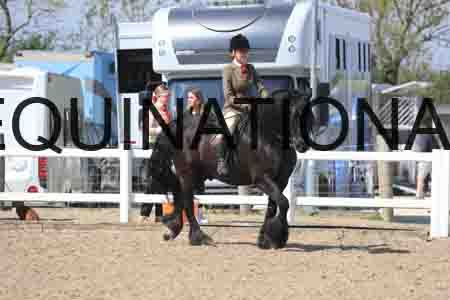 LOT-1627