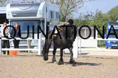 LOT-1628