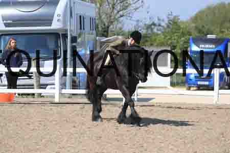 LOT-1629