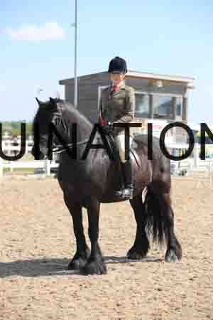LOT-1632
