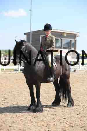 LOT-1633