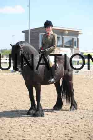 LOT-1637
