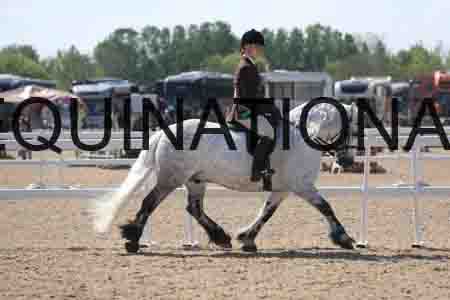 LOT-1654