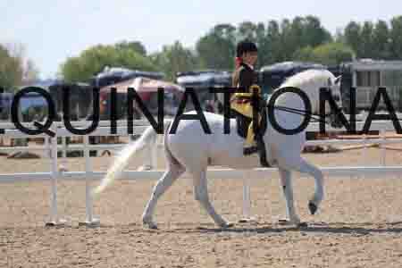 LOT-1656
