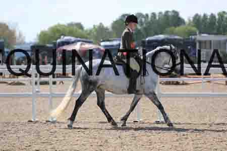 LOT-1658