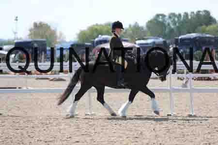 LOT-1659