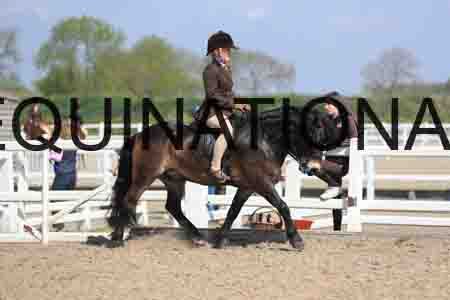 LOT-1665
