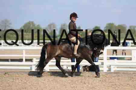 LOT-1667