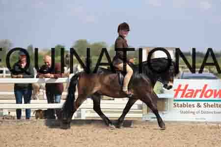 LOT-1668