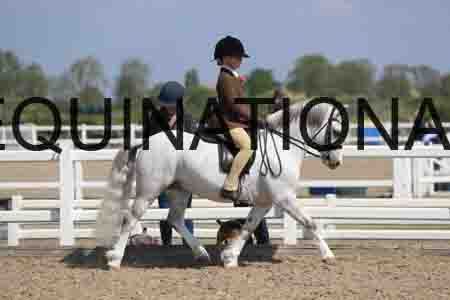 LOT-1675