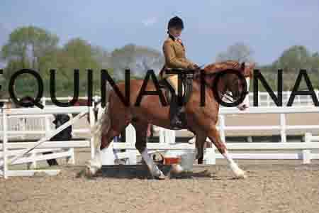 LOT-1684