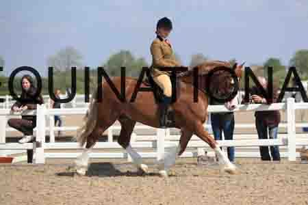 LOT-1685