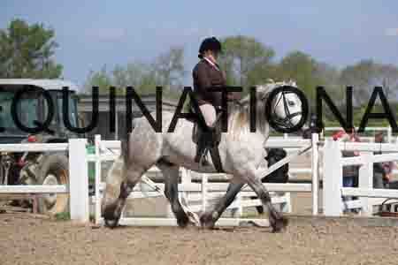 LOT-1686