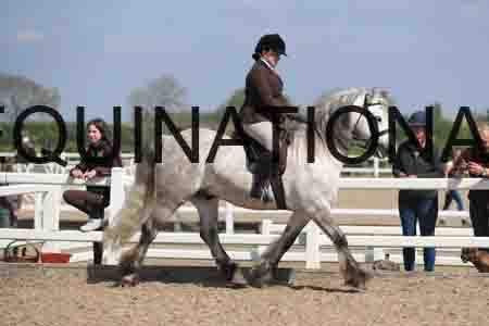 LOT-1688