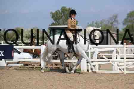LOT-1693