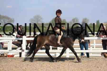 LOT-1699